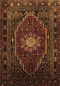 Persian Brown Traditional Rug, tr98brn