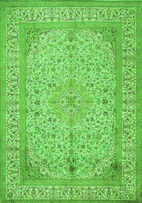 Persian Green Traditional Rug, tr990grn