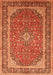 Persian Orange Traditional Rug, tr993org
