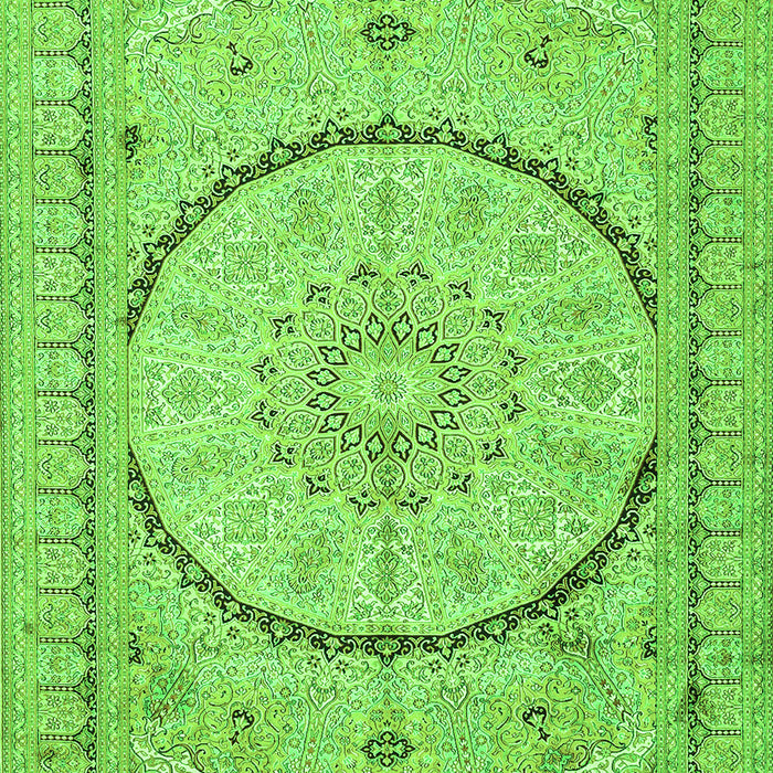 Medallion Green Traditional Rug, tr997grn