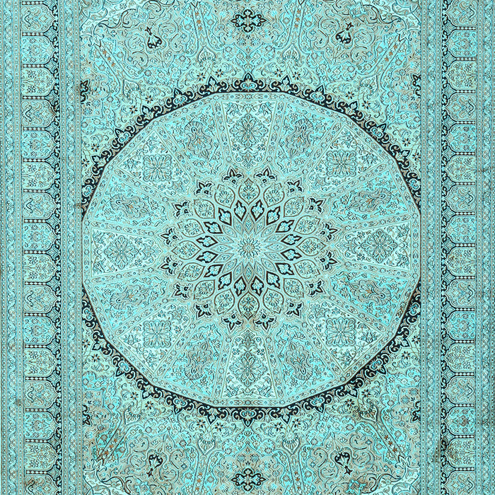 Medallion Light Blue Traditional Rug, tr997lblu