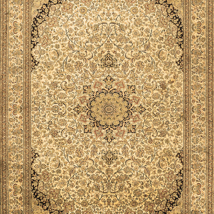 Medallion Brown Traditional Rug, tr999brn