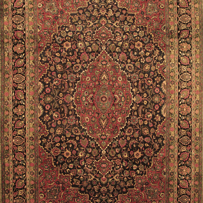 Medallion Brown Traditional Rug, tr99brn