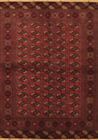 Southwestern Brown Country Rug, tr9brn