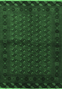 Southwestern Emerald Green Country Rug, tr9emgrn