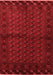 Southwestern Red Country Area Rugs