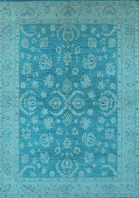 Oriental Light Blue Traditional Rug, urb1005lblu