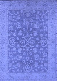 Oriental Blue Traditional Rug, urb1005blu