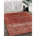 Mid-Century Modern Orange Oriental Rug in Family Room, urb1019