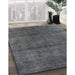 Machine Washable Industrial Modern Gray Rug in a Family Room, wshurb1020