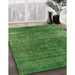 Mid-Century Modern Apple Green Oriental Rug in Family Room, urb1026