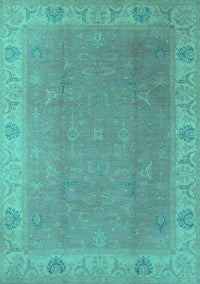 Oriental Turquoise Traditional Rug, urb1051turq