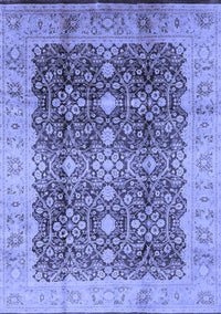 Oriental Blue Traditional Rug, urb1062blu
