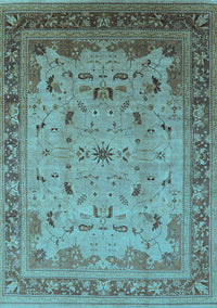 Oriental Light Blue Traditional Rug, urb1072lblu