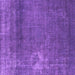 Square Machine Washable Oriental Purple Industrial Area Rugs, wshurb1087pur