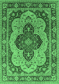 Oriental Emerald Green Industrial Rug, urb1130emgrn