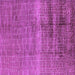 Square Machine Washable Solid Purple Modern Area Rugs, wshurb1164pur