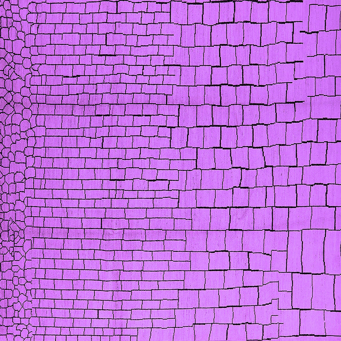 Square Solid Purple Modern Rug, urb1176pur