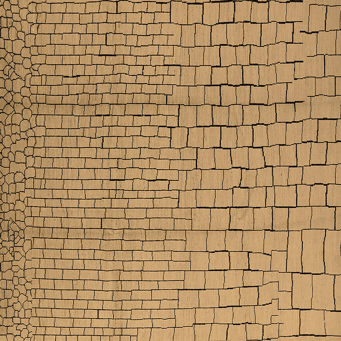 Square Solid Brown Modern Rug, urb1176brn