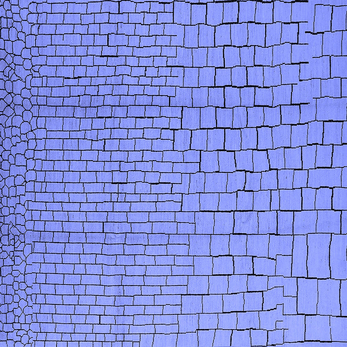 Square Machine Washable Solid Blue Modern Rug, wshurb1176blu