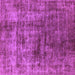 Square Solid Purple Modern Rug, urb1185pur