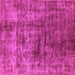 Square Solid Pink Modern Rug, urb1185pnk