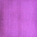 Square Solid Purple Modern Rug, urb1195pur