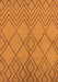 Machine Washable Solid Orange Modern Area Rugs, wshurb1219org