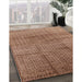 Mid-Century Modern Light Copper Gold Solid Rug in Family Room, urb1235