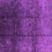 Square Oriental Purple Industrial Rug, urb1247pur