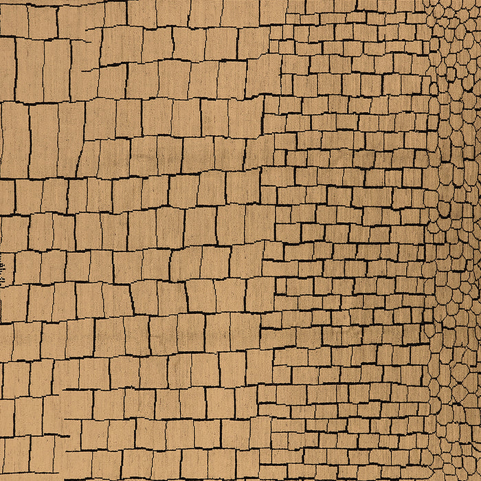 Square Solid Brown Modern Rug, urb1283brn