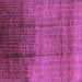 Square Solid Purple Modern Rug, urb1284pur