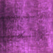 Square Oriental Purple Industrial Rug, urb1285pur