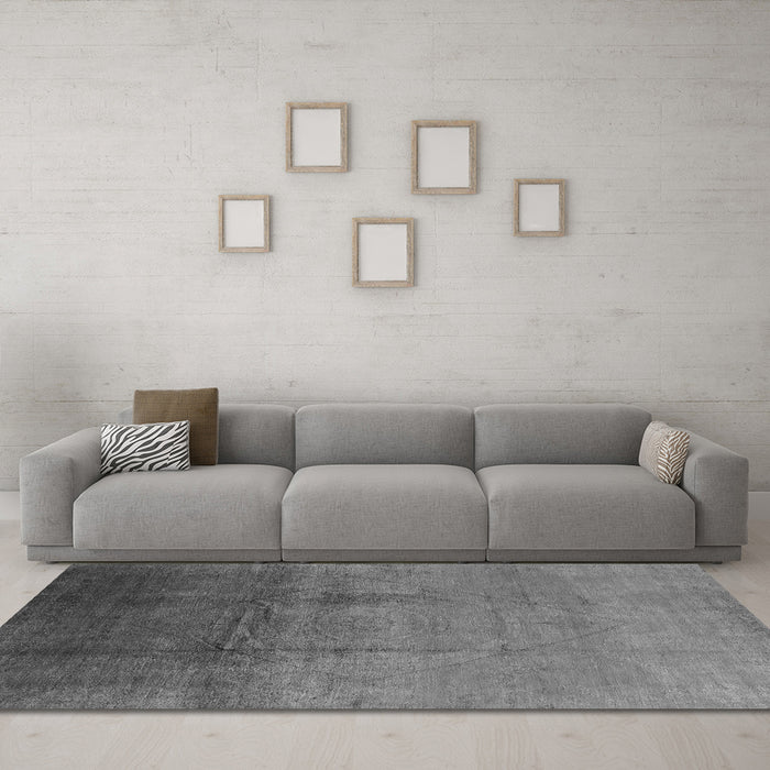 Machine Washable Oriental Gray Industrial Rug in a Living Room,, wshurb1291gry