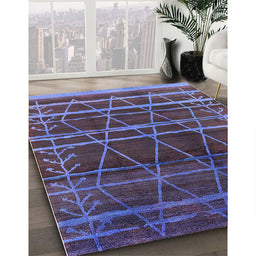 Machine Washable Industrial Modern Plum Purple Rug in a Family Room, wshurb1294