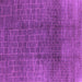 Square Machine Washable Oriental Purple Industrial Area Rugs, wshurb1295pur