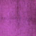 Square Oriental Purple Industrial Rug, urb1313pur