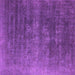 Square Machine Washable Oriental Purple Industrial Area Rugs, wshurb1318pur