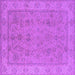 Square Oriental Purple Traditional Rug, urb1325pur