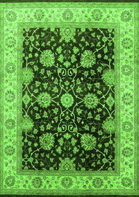 Oriental Green Traditional Rug, urb1341grn