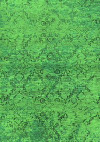 Oriental Green Industrial Rug, urb1392grn