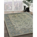 Mid-Century Modern Army Brown Oriental Rug in Family Room, urb1400