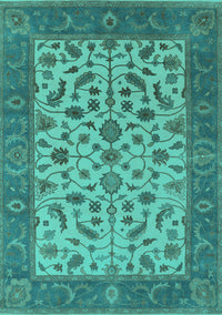 Oriental Turquoise Traditional Rug, urb1403turq