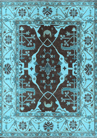 Oriental Light Blue Traditional Rug, urb1419lblu