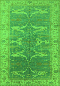 Oriental Green Traditional Rug, urb1426grn