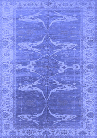 Oriental Blue Traditional Rug, urb1426blu