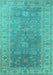 Oriental Turquoise Traditional Rug, urb1427turq