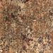 Square Oriental Brown Industrial Rug, urb1430brn