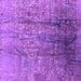 Square Machine Washable Oriental Purple Industrial Area Rugs, wshurb1446pur
