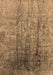 Oriental Brown Industrial Rug, urb1446brn